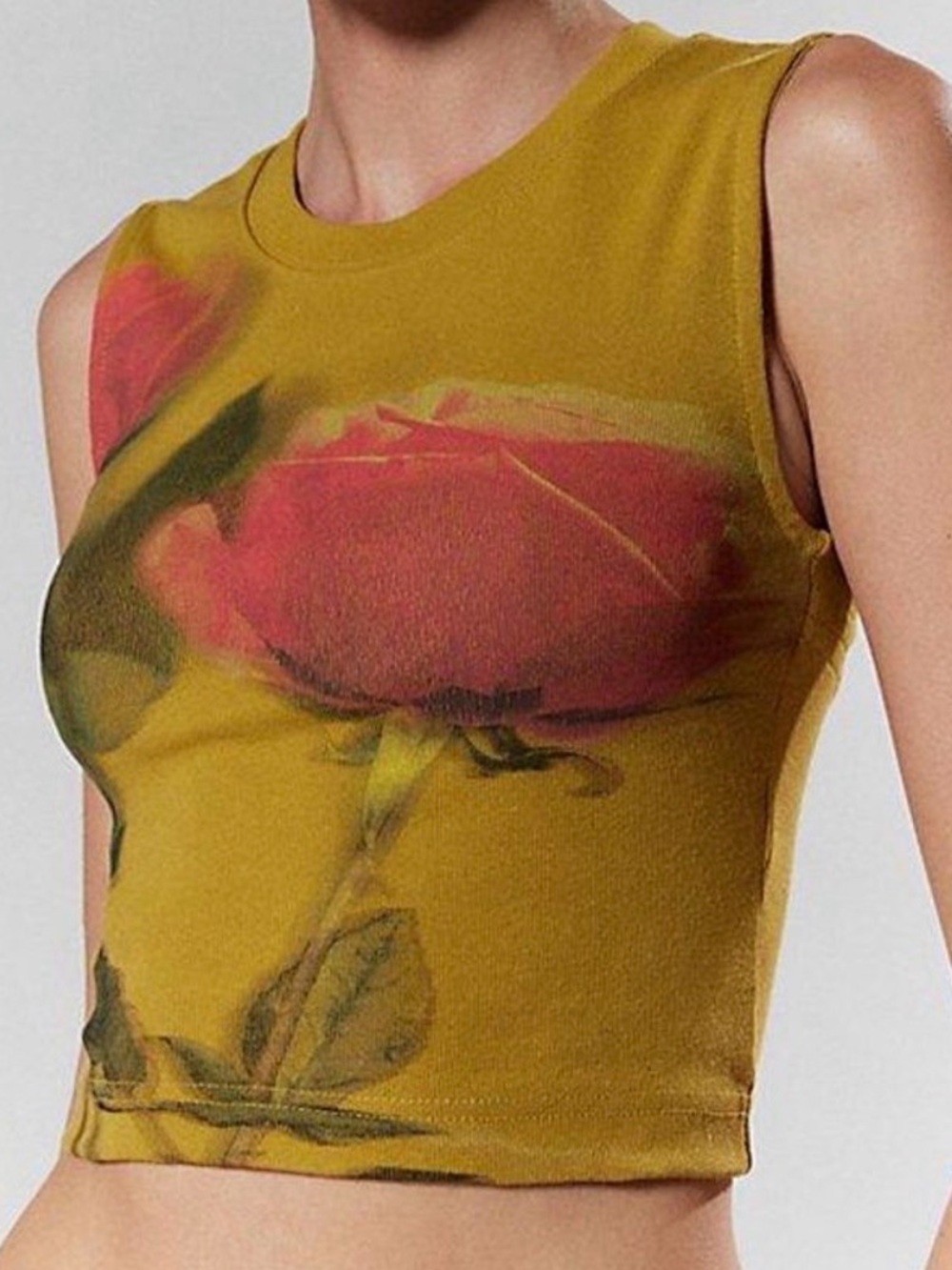 silence + noise Olive Green Rose Graphic Crop Tank